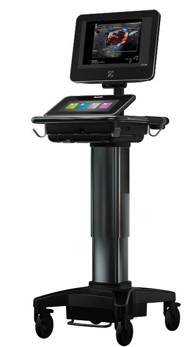 �������������� ������� Fujifilm Sonosite X-Porte
